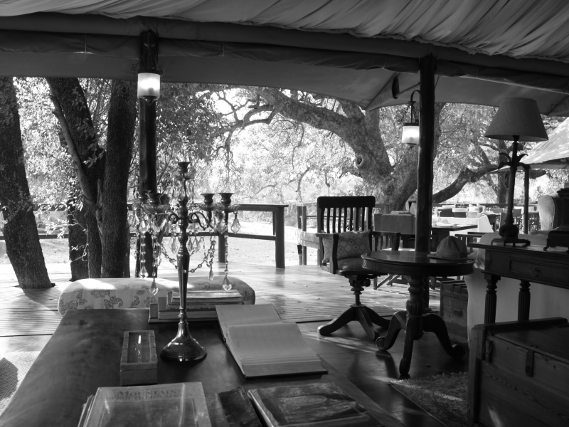 Luxury Lodge